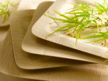 Bamboo Veneer Square Plate L:10in W:10in H:0.55in - 25 pcs Bamboo Veneer Square Plate L:10in W:10in H:0.55in - 25 pcs